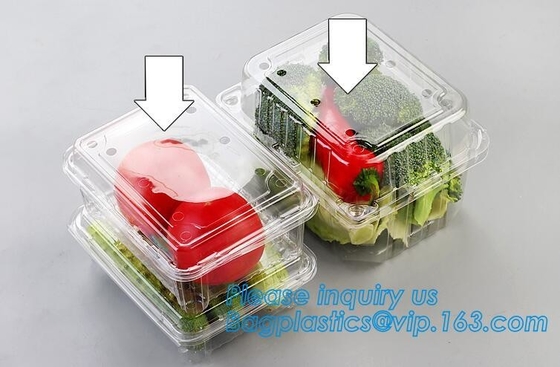 Container van het blaar de Verpakkende Voedsel, de Beschikbare Container van de Blaarfruitsalade, de Plastic doos van het blaarfruit/container/fruit