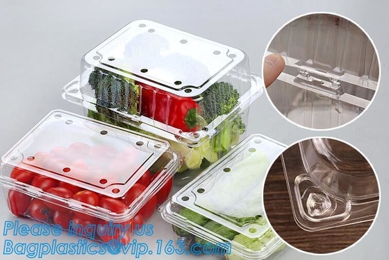 Container van het blaar de Verpakkende Voedsel, de Beschikbare Container van de Blaarfruitsalade, de Plastic doos van het blaarfruit/container/fruit