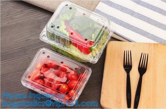 Container van het blaar de Verpakkende Voedsel, de Beschikbare Container van de Blaarfruitsalade, de Plastic doos van het blaarfruit/container/fruit