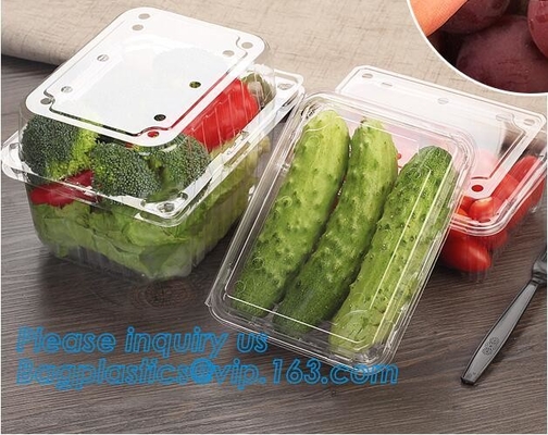 Container van het blaar de Verpakkende Voedsel, de Beschikbare Container van de Blaarfruitsalade, de Plastic doos van het blaarfruit/container/fruit