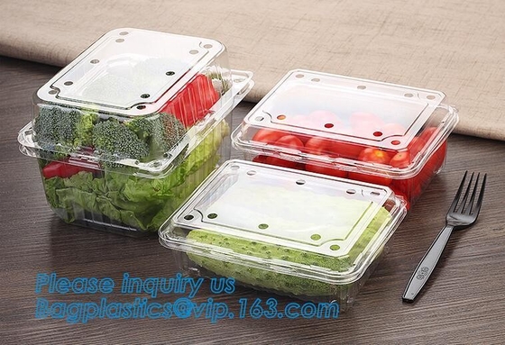 Container van het blaar de Verpakkende Voedsel, de Beschikbare Container van de Blaarfruitsalade, de Plastic doos van het blaarfruit/container/fruit