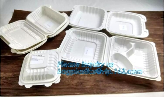 De luchtdichte Plastic van het de Versheidsbehoud van het Opslagvoedsel doos van de de Container Beschikbare plastic opslag, bpa vrije stapelbaar neemt aw