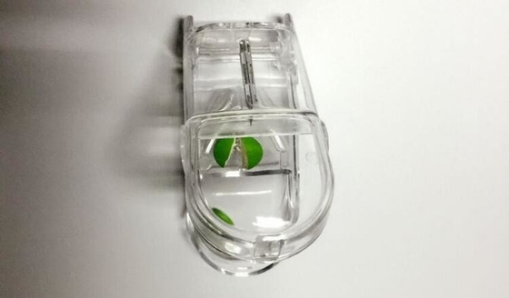 Promotie In het groot plastic de lijstpil van de pillensnijder spliter, de Promotie In het groot pil van de de snijderslijst van de gaten plastic pil
