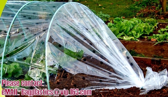 PE die film, pe film, tuinbouwmulsfilm, tuin met mulch bedekken perforeerde grondfilm, blad, die films met mulch bedekken, landbouw