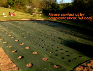 Mat van het tuin de Landbouwonkruid, Plastic Gronddekking, de Mat van de Onkruidcontrole, pp geweven grasmat, zwarte geweven pp-stof