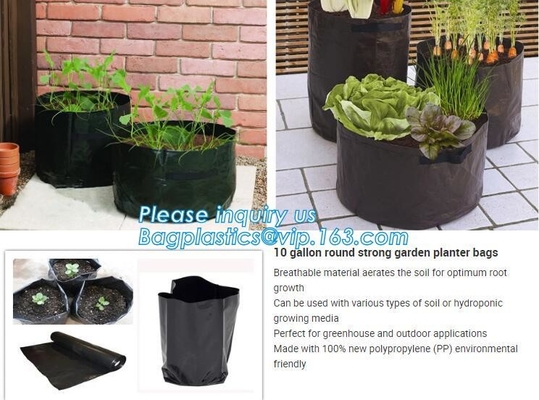 De Planter van de tuinaardappel het Groeien Zakkenpe Stof Milieuvriendelijke 7Gallon 10Gallon, aardappelplanter met 7/10 gallonaardappel plante