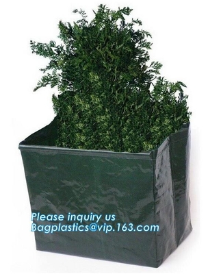 kweekt de fabrieks in het groot planter zak, kweekt de Groene Milieuvriendelijke PE aardappel zak de resuble tuininstallatie zak, BAGEASE, PAKKET kweekt