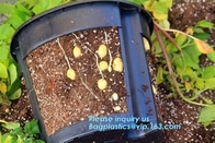 kweekt de de 5 gallon Plastic Slimme Gember of Aardappel die Potten voor huistuin planten, pp-aardappel pot plantend zak, de pot van de aardappelplanter