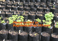 Het groentenkinderdagverblijf kweekt Zakken, kweken de Tuinzakken/Zakken/de Hangende van de de Plantershydrocultuur van Installatiezakken Planter van de de Tuincontainer