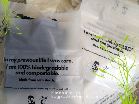 100% de biologisch afbreekbare installatie gebaseerde composteerbare tribune van PBAT PLA op het document van zakkraftpapier ritssluitingszakken voor makeu van klerenschoonheidsmiddelen