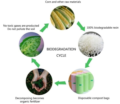 100% composteerbare Vestdrager Plastic Biologisch afbreekbare het Winkelen Zak met de Gediplomeerde, composteerbare zakken van EN13432 voor superma