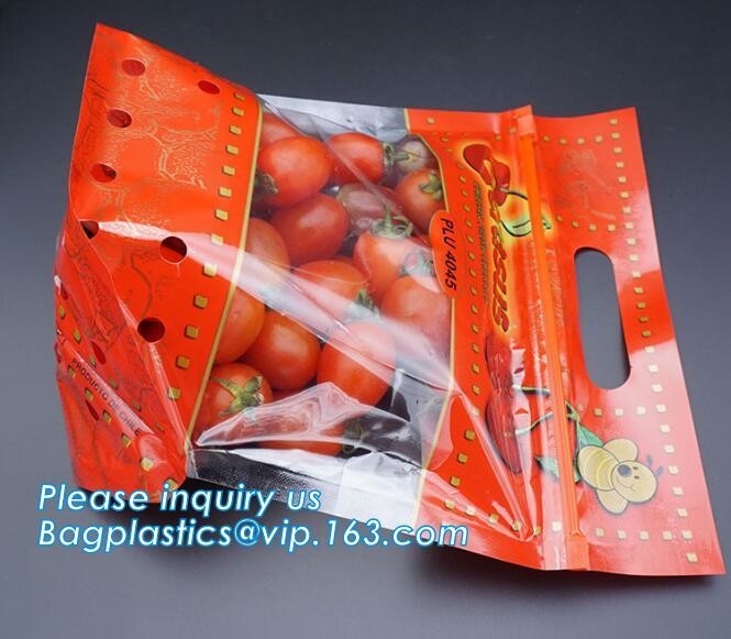 vers bescherm ritssluiting verpakking voor kers, Fruitdruif Cherry Vegetable Packing Protection Bag, Betrouwbare Gewijzigde Atmosp