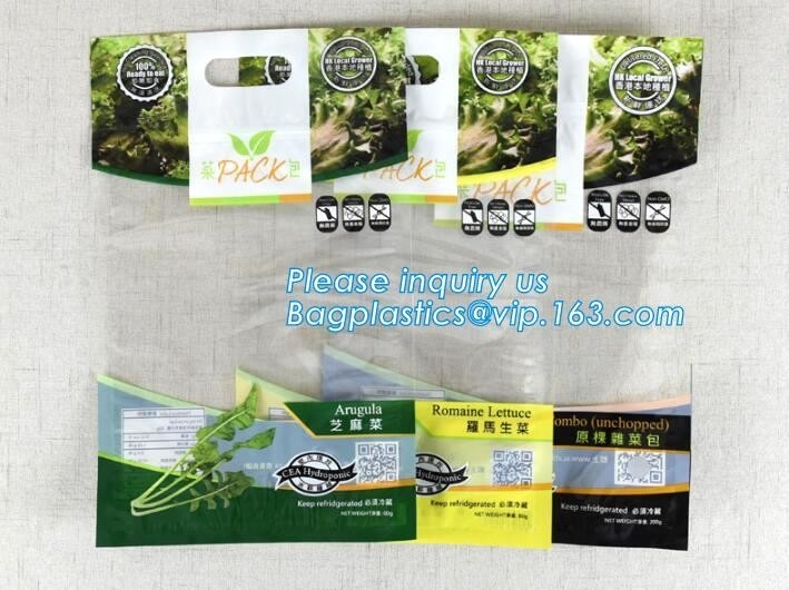 gat van de de zakopening van het schuifslot het verpakkend en handvat, druivenzak/mangozak/de schuif van de fruitgroente, de Ritssluiting Fr van de Schuifritssluiting