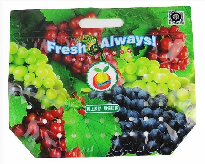 de het pakketzak van de fruitschuif, Fruit lamineerde van de de Schuifritssluiting van de Boszak de Zakken Apple/Druif Gelamineerde Boszak
