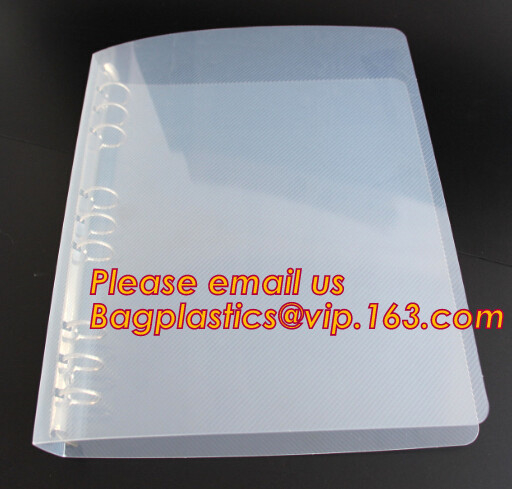 Van de het dossierzak van pvc van de douanefabriek de duidelijke plastic van de het netwerkritssluiting transparante zak van het de zak waterdicht makende document