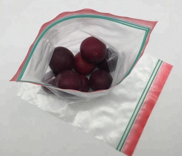 De dubbele verpakkende zak van de pitverbinding, Dubbele verzegelde gedrukte plastic de ritssluitingszak van de voedselopslag douane, Vochtbestendig plastiek gaat