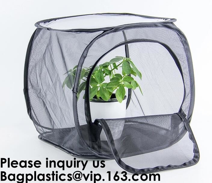 De landbouwserres voor Tomaat die, de Beschermer van de Pop-upitemTomatenplant dient als Mini Greenhouse om Gro te versnellen plant
