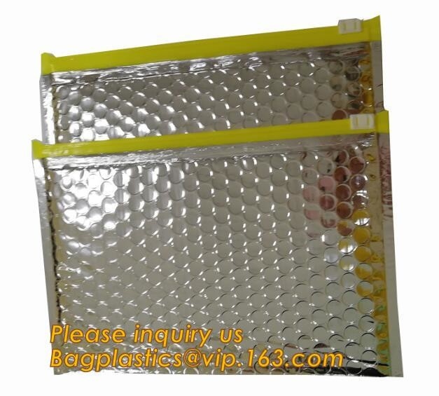 Promotie binnen de bellenzak van de pakket verschepende schuif, Plastic duidelijke bellenzak met het pak van de ritssluitingsbagease van de ritssluitingsschuif
