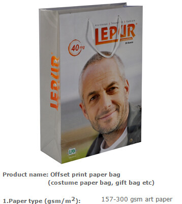 Van de het Handvatgift van het lage Kostenlint van het de Drager Naar maat gemaakte Ontwerp het document van Logo Luxury in het groot het winkelen zak de in het groot promotieeg