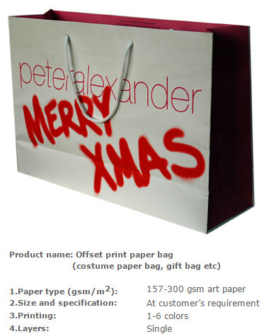 Van de de totalisatordrager van de water maakte de bestand luxe de wijndocument zak, Beroeps het document van de douaneluxe boodschappentas, document zak voor gift