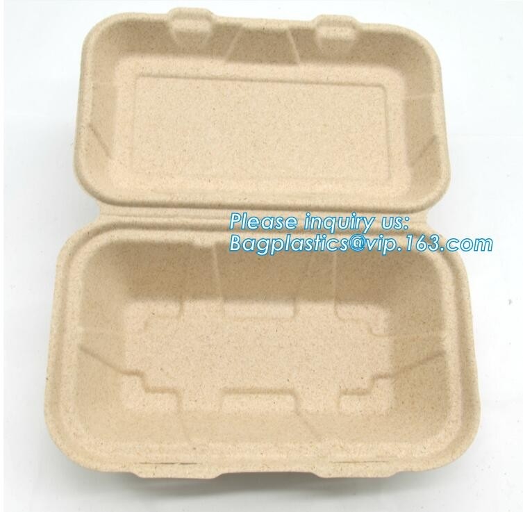 Het compartiment voorzag van de bassagepulp van het containersuikerriet bassage van de het voedsel dienende doos 750ml neemt van een scharnier packa van containerbagplastics