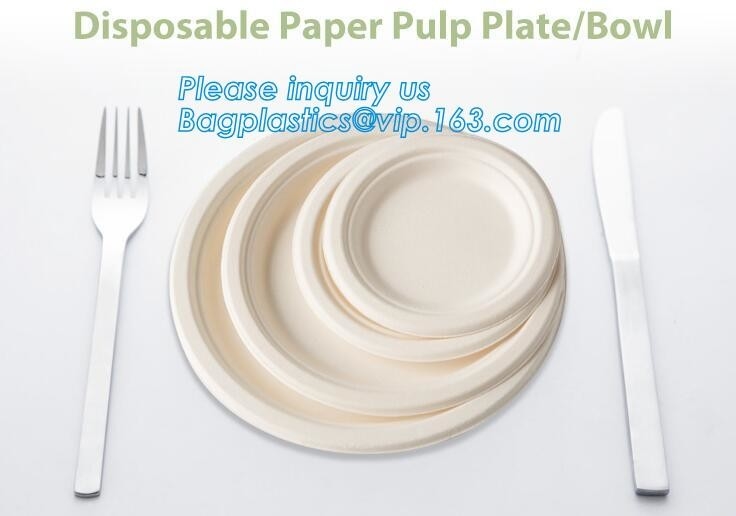 Milieuvriendelijke het Suikerrietbagasse 10 van de Papierpulp“ Ronde Platen, van het thalipapier van het dessertdiner de diepe composteerbare bioplastic bagasse