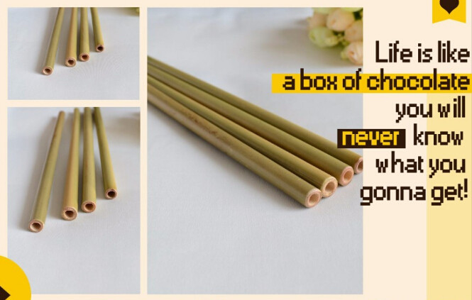 Eco Vriendschappelijke Fabriek direct Verkoop Aangepast Logo Bamboo Straw With Brush 100% Natuurlijke bagease van het Bamboestro bagpac