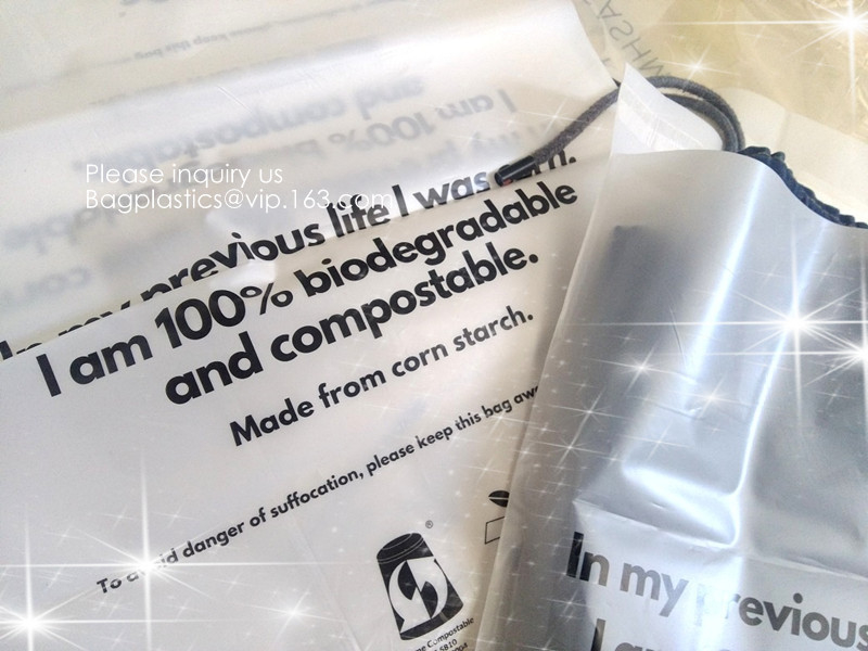 100% de biologisch afbreekbare installatie gebaseerde composteerbare tribune van PBAT PLA op het document van zakkraftpapier ritssluitingszakken voor makeu van klerenschoonheidsmiddelen