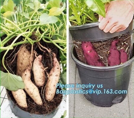 Tomato Potato Carrot Onion Peanut Growing Pot Garden Planter Pot,PP Potato Grow Pot Planting Bag, Bagplastics, Bagease